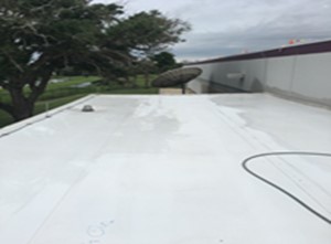 Roof cleaning-After