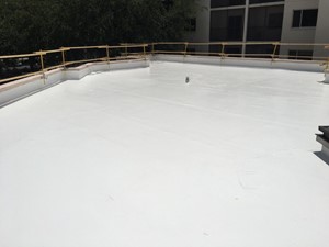 Roof coating-After